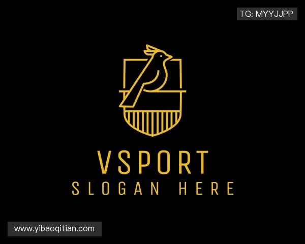 介绍VSport在线登录